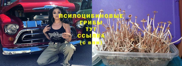 гидра Армянск